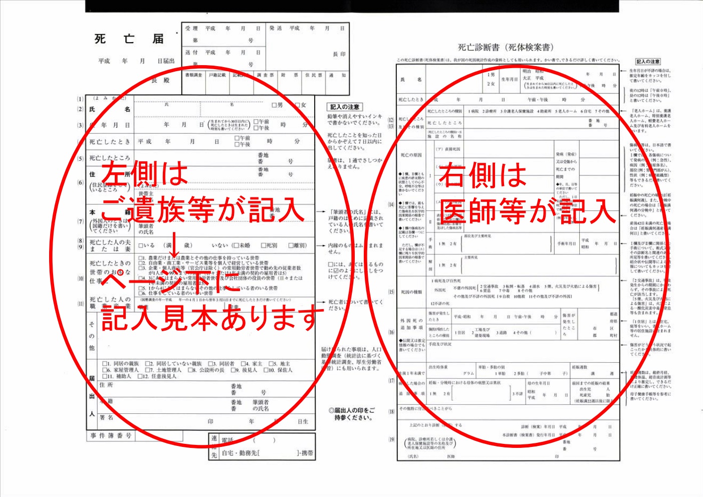 死亡届の書き方と死亡診断書の入手方法 東京の相続税申告専門 税理士法人ブライト相続